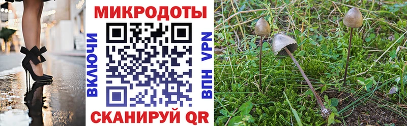 где купить наркоту  Бакал  Псилоцибиновые грибы ЛСД 